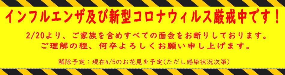 面会中止