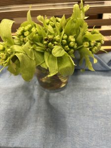ふきのとう