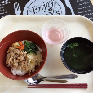 ビビンバ丼